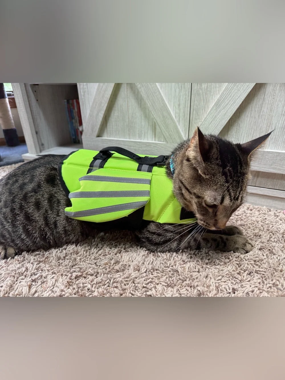 Life vest -XS- small dog or cat (with wings and handle) like new